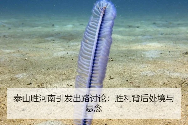 泰山胜河南引发出路讨论：胜利背后处境与悬念